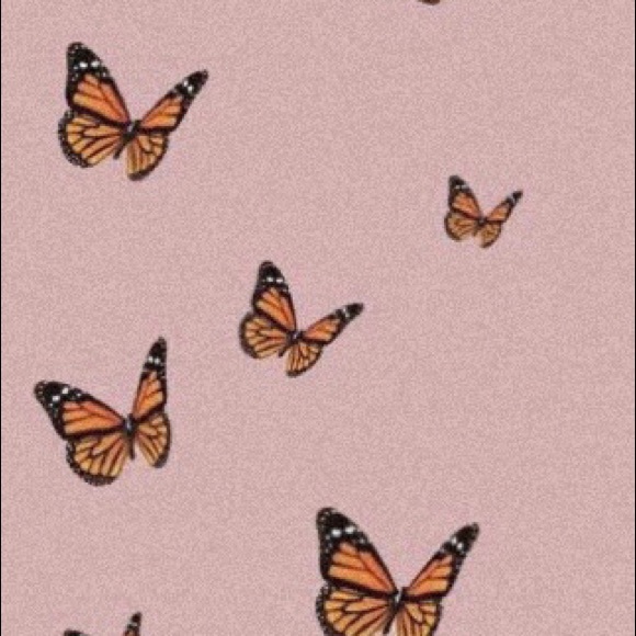 Meet your Posher, Simone - Picture 1 of 1